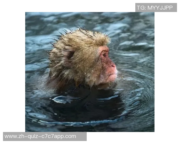 温泉足球：在热气腾腾的温泉中感受激情与活力的完美结合